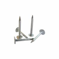 Tapco - 50mm Galvanised Clout Nail - 1kg (330 nails)