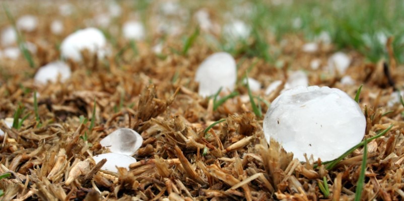 What to Do When Hail Damages Your Roof