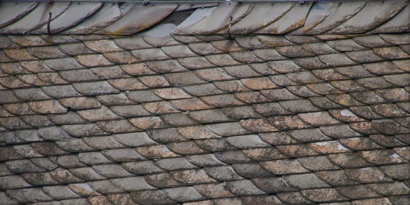 The Top 19 Causes of Roof Leaks