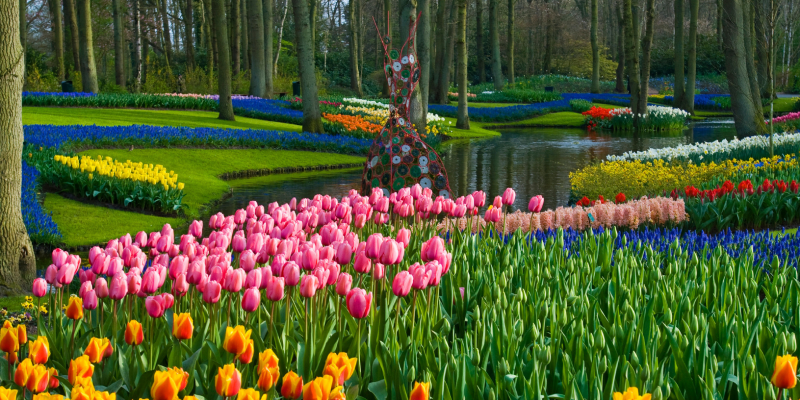 Guide to the World's Most Famous Gardens